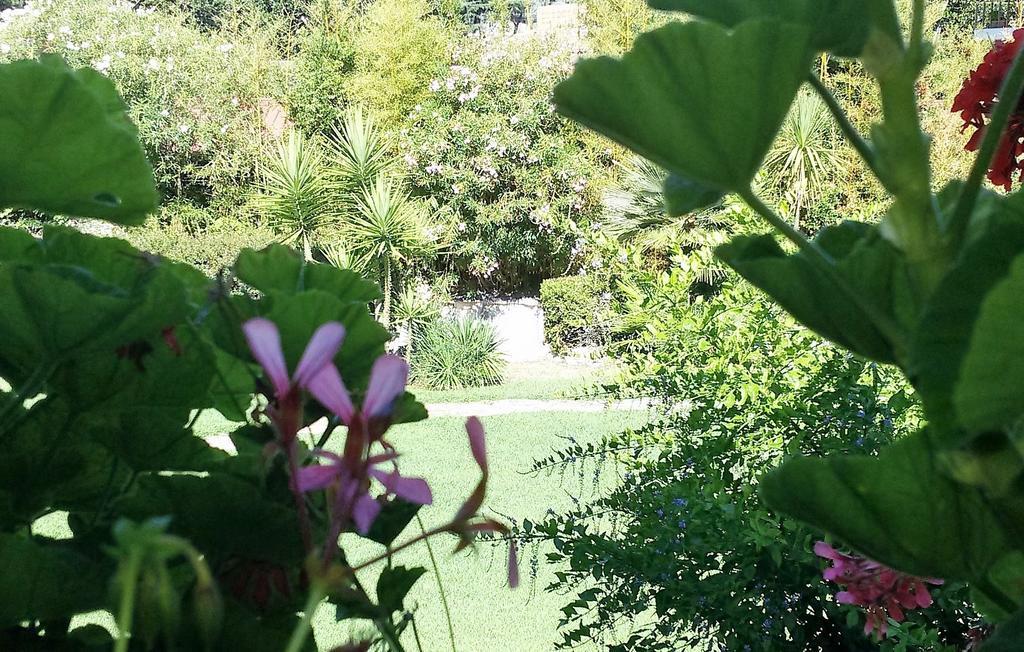 Casa Per Ferie Cardinal G. Guarino Bed & Breakfast Rome Luaran gambar